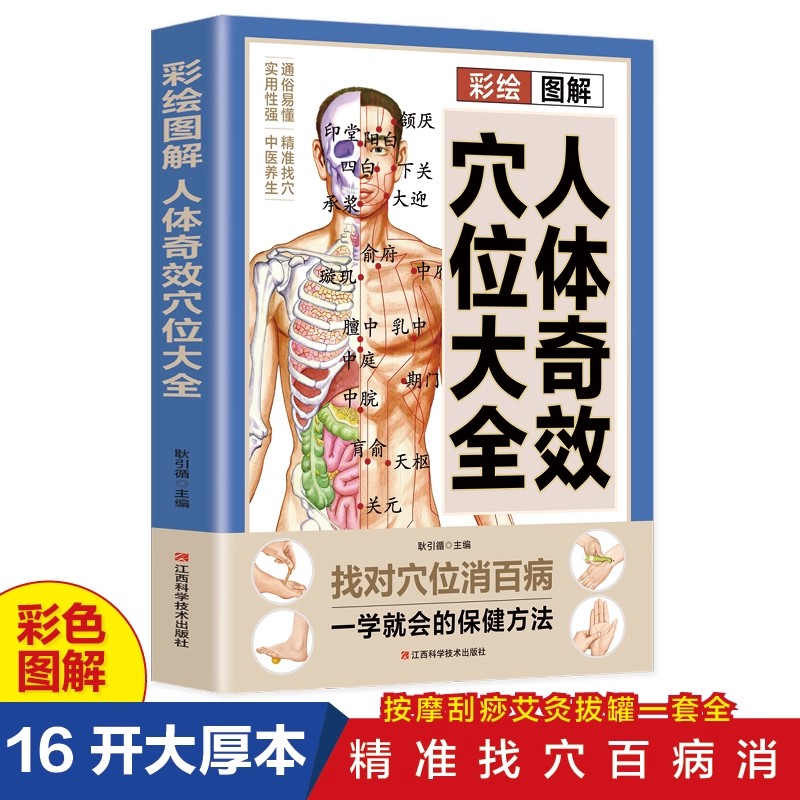 Complete Guide to Acupoint Mas - Health & Wellness Events review and price