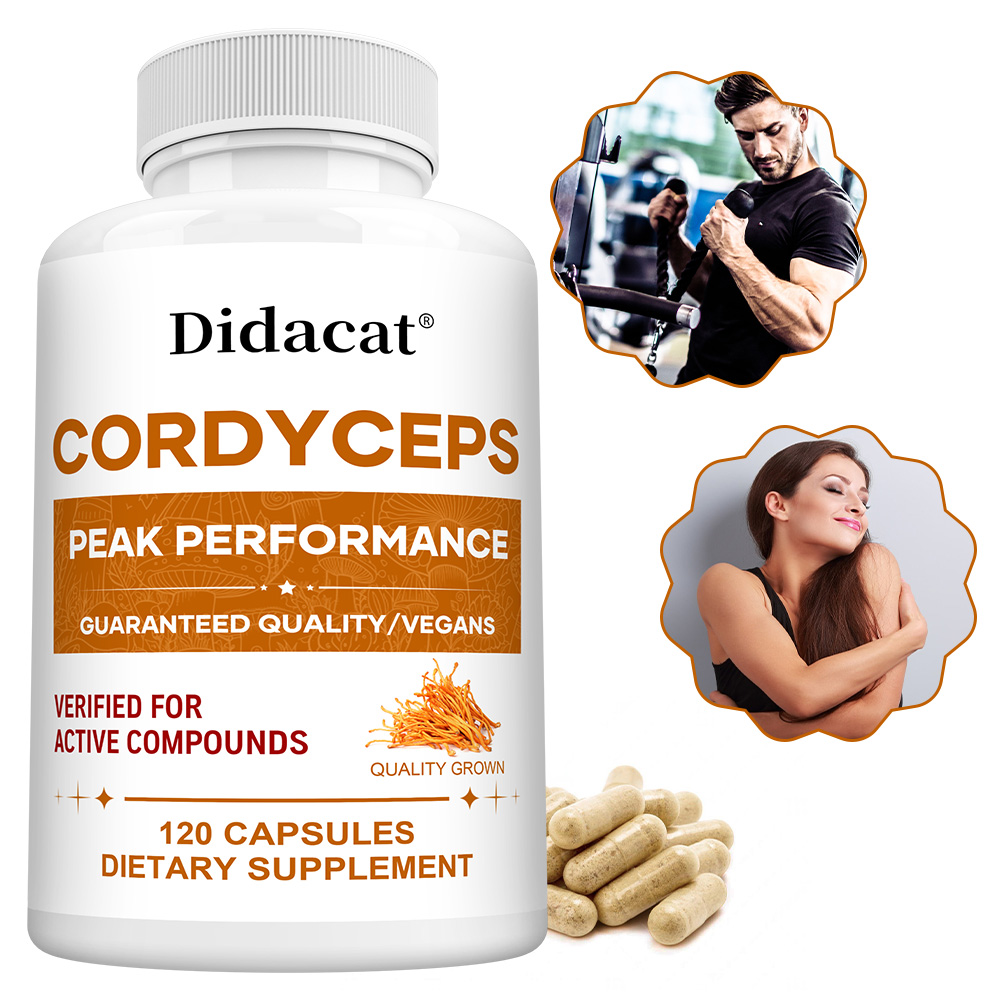 Cordyceps Mushroom Capsules 10 - Health Wellness & Psychology review and price